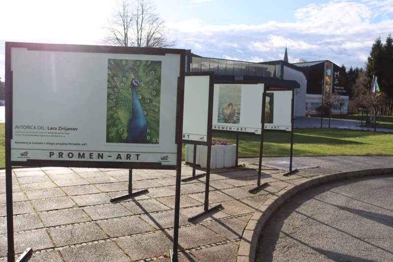 WhatsApp-Image-2026-03-03-at-13.49.46