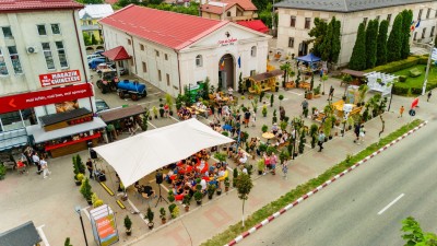 Picture-of-The-Roots-are-Growing