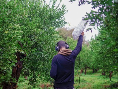 A man recording sounds among trees