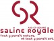 Logo Saline 1