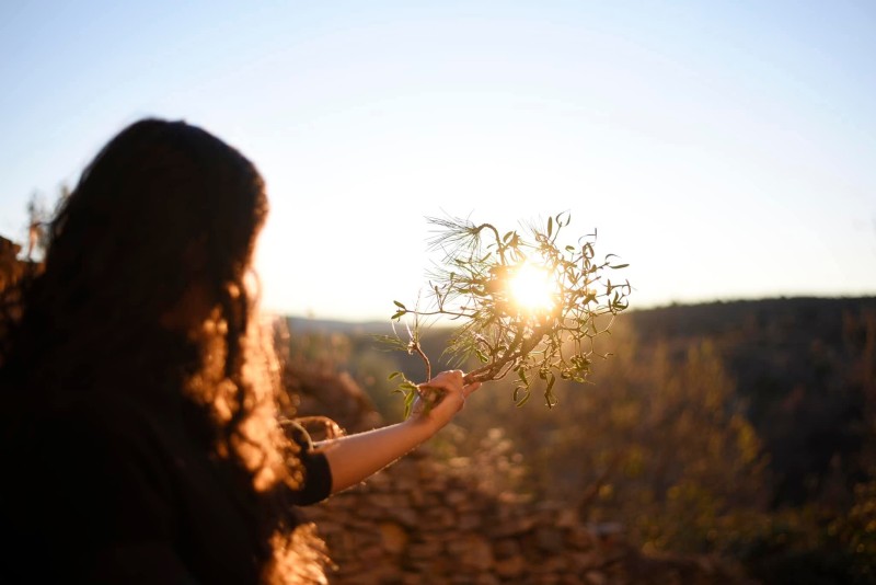 Rituals-for-the-Care-of-Nature