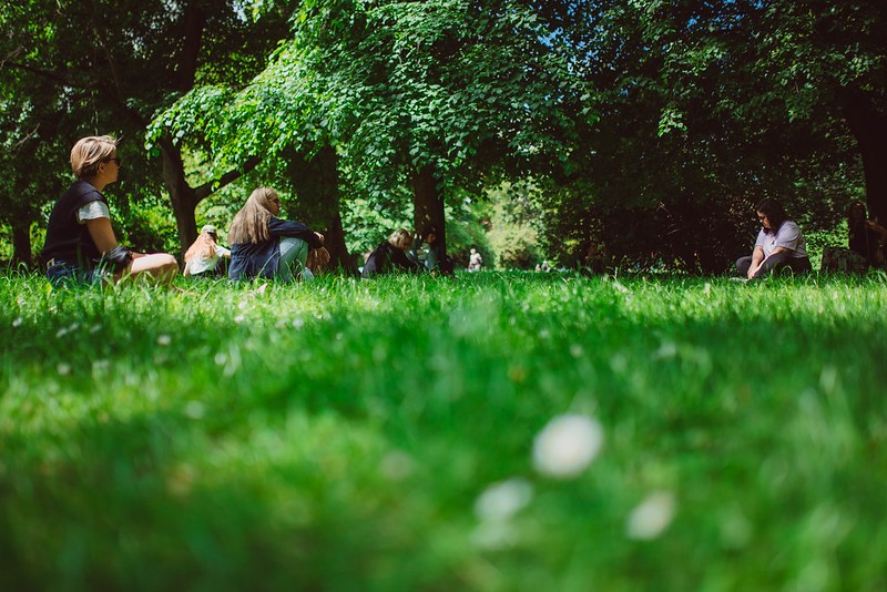 People sitting on the grass on a sunny day