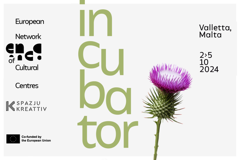 Incubator 2024