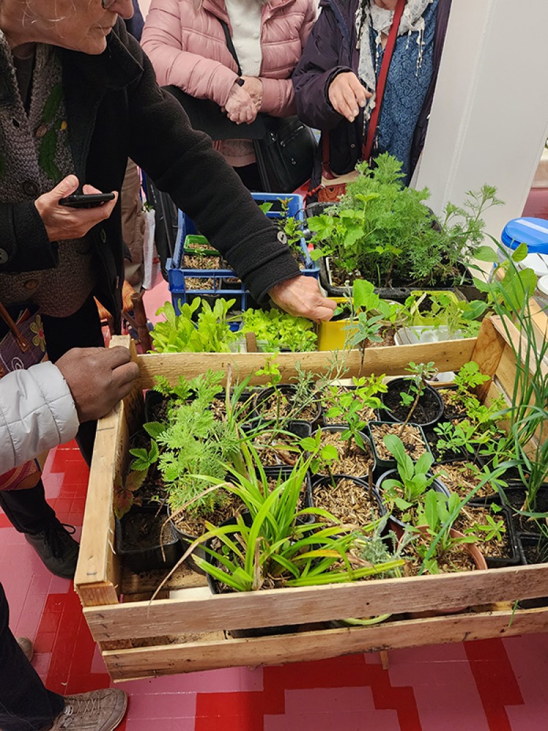 20250505_191338-copie