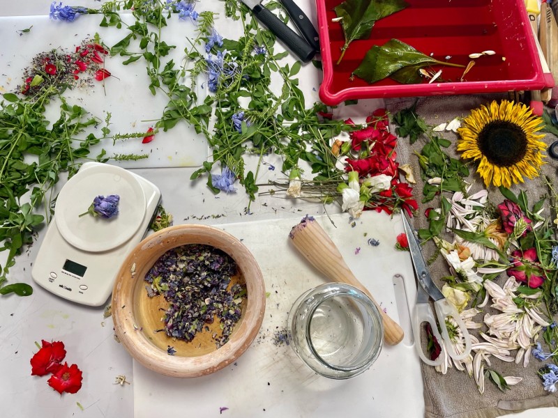 Situated-Cinema---Revelado-plantas-y-fitogramas